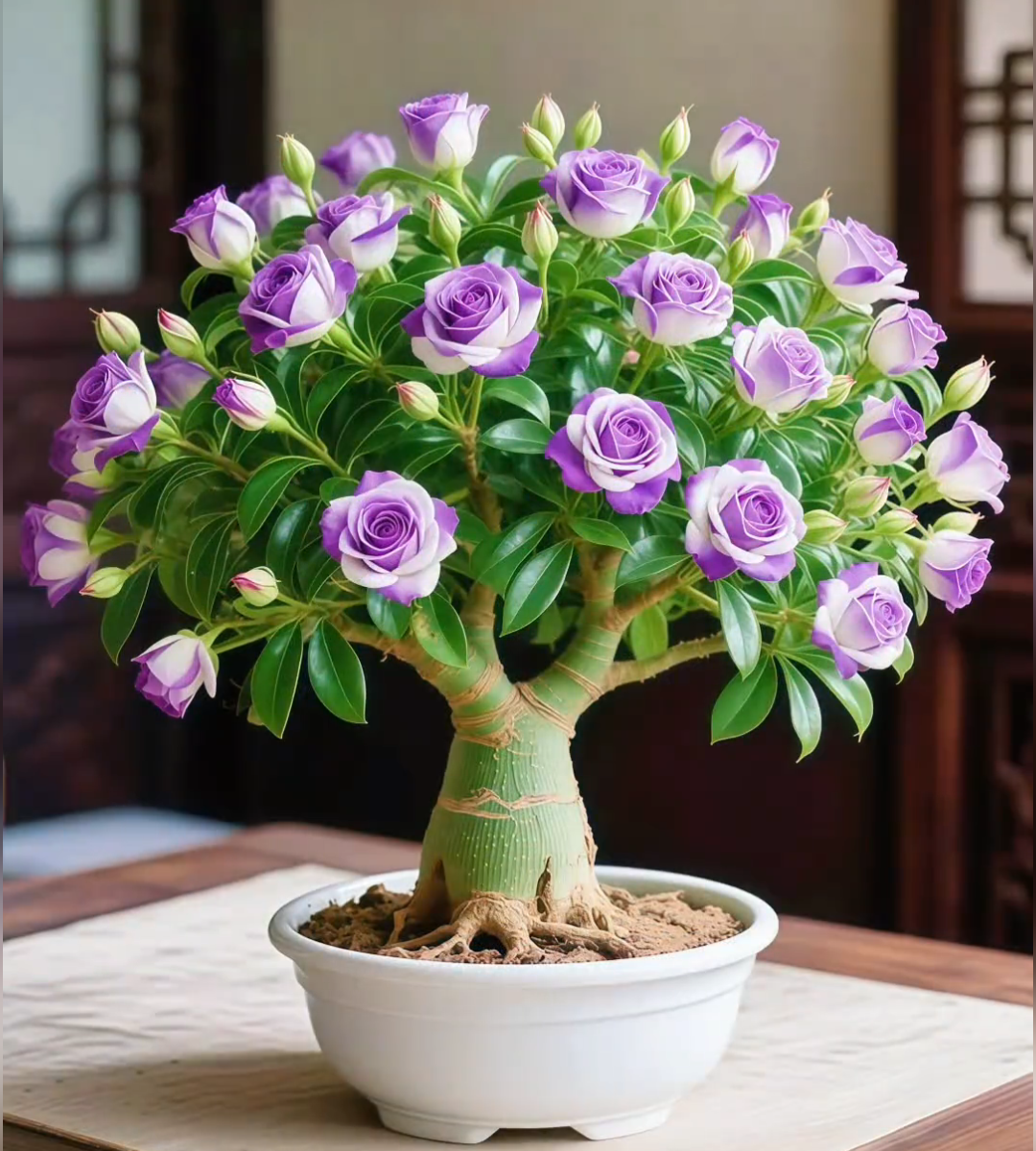 🌵 Pouštní růže – exotické květiny, přírodní krása! 🌺✨