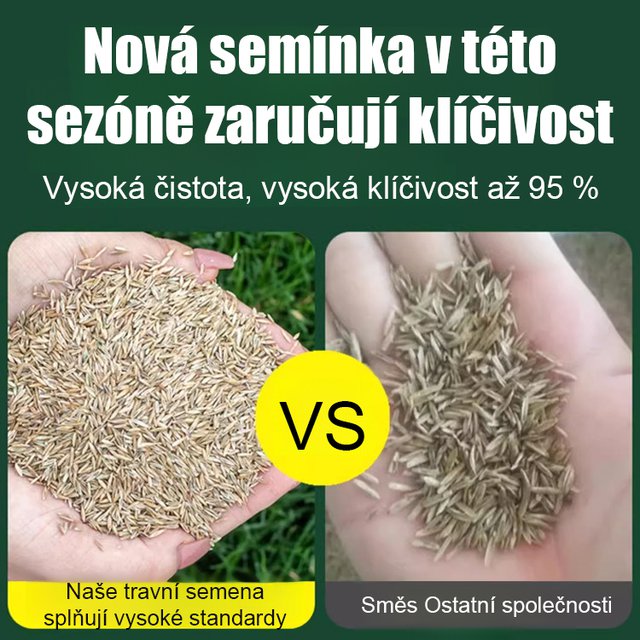 Dovážená semena žitné trávy