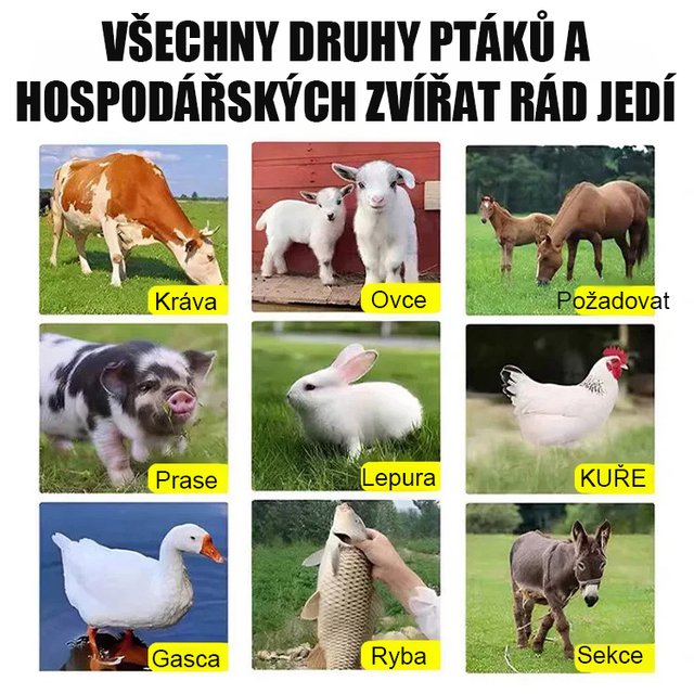 Dovážená semena žitné trávy