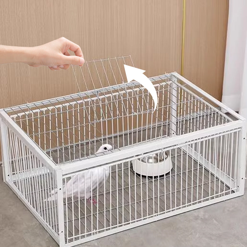 🌾 2024 Nové produkty🐦 Ptačí klec AutoTrap – pouze vstup, žádný východ, se základnou