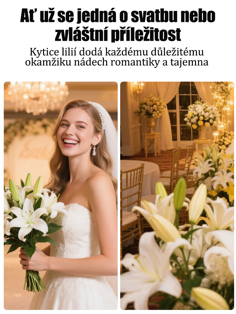 [Voňejší než parfém]Cibulky lilií Four Seasons voní tisíce kilometrů daleko, kvetou každý rok