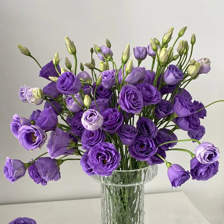 🔥Poslední den prodeje💝Eustoma Rose Thornless💐Lisianthus Seeds