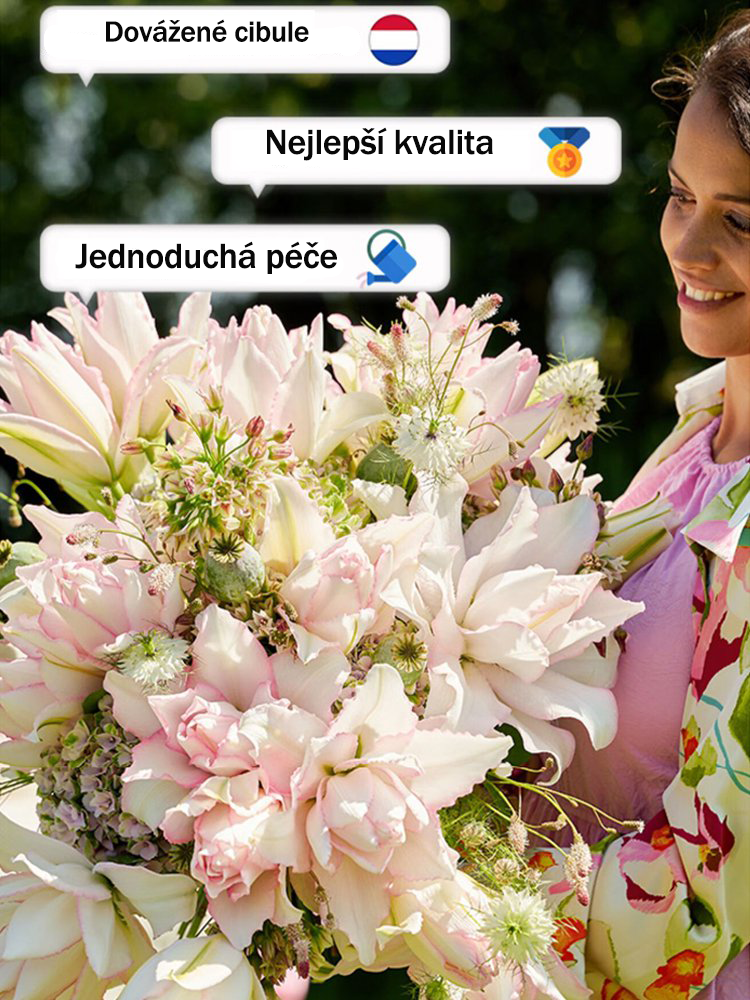 [Voňejší než parfém]Cibulky lilií Four Seasons voní tisíce kilometrů daleko, kvetou každý rok