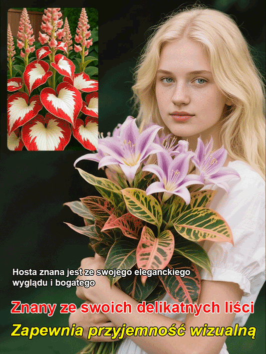 Rzadkie nasiona lilii cieniolubnej