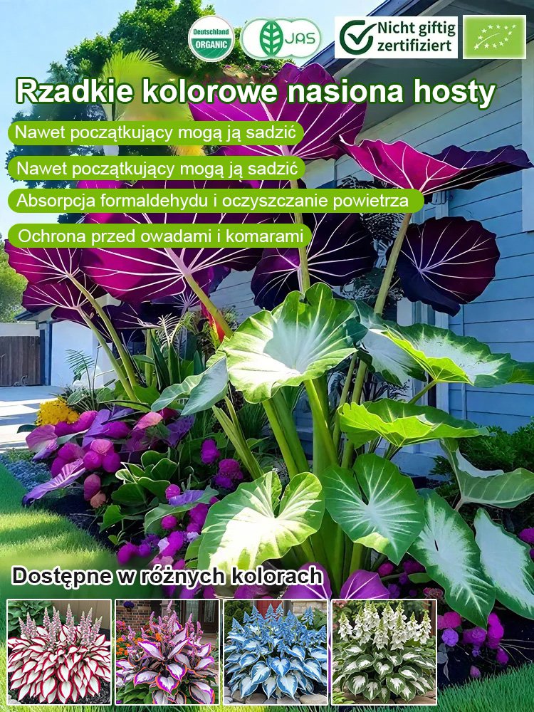 Rzadkie nasiona lilii cieniolubnej