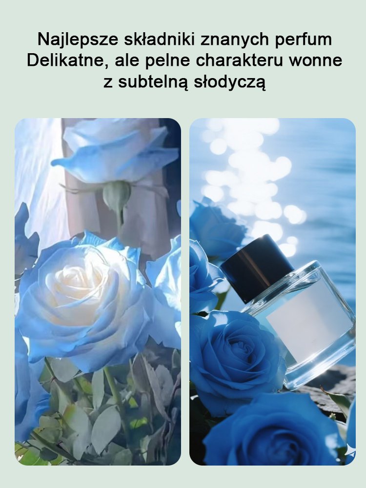 Rzadkie hydroponiczne róże dwukolorowe - 12 kolorów mieszanych nasion - 300 kapsułek