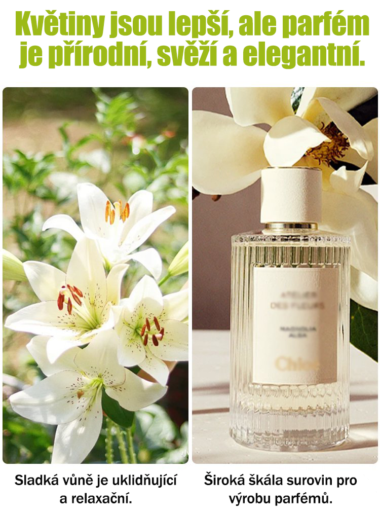 [Voňejší než parfém]Cibulky lilií Four Seasons voní tisíce kilometrů daleko, kvetou každý rok