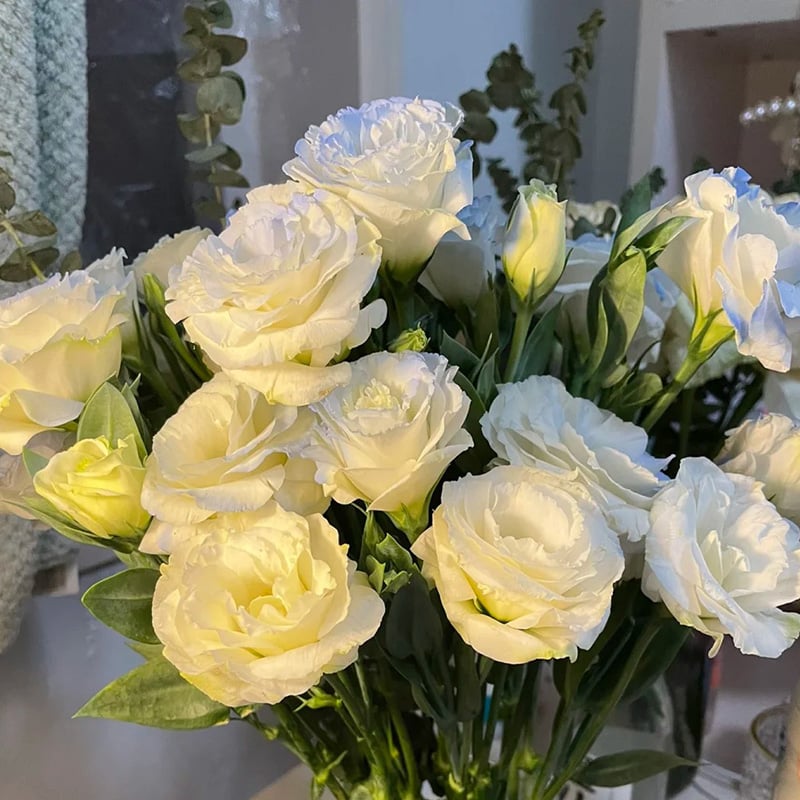 🔥Poslední den prodeje💝Eustoma Rose Thornless💐Lisianthus Seeds