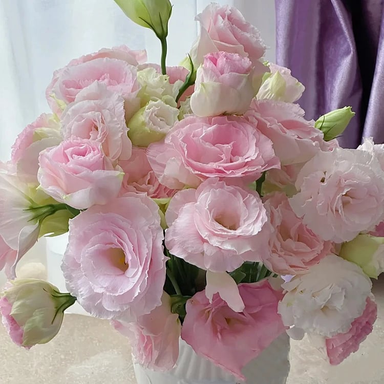 🔥Poslední den prodeje💝Eustoma Rose Thornless💐Lisianthus Seeds