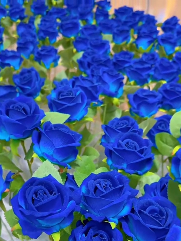 Rzadkie hydroponiczne róże dwukolorowe - 12 kolorów mieszanych nasion - 300 kapsułek